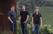 Fantastische Bewertung im Robert Parker Wine Advocate