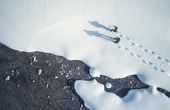 Schneeschuhwandern lernen in Südtirols Sonnendorf 