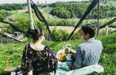 Picknick im Weingarten und ein Wein-Hideaway zum Verlieben