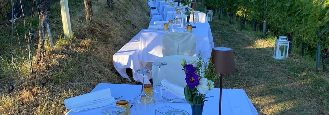 Schlosskeller Südsteiermark trifft Dinner im Weingarten 