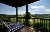 Wohnen beim Top-Winzer: Österreichs schönste Weinhotels