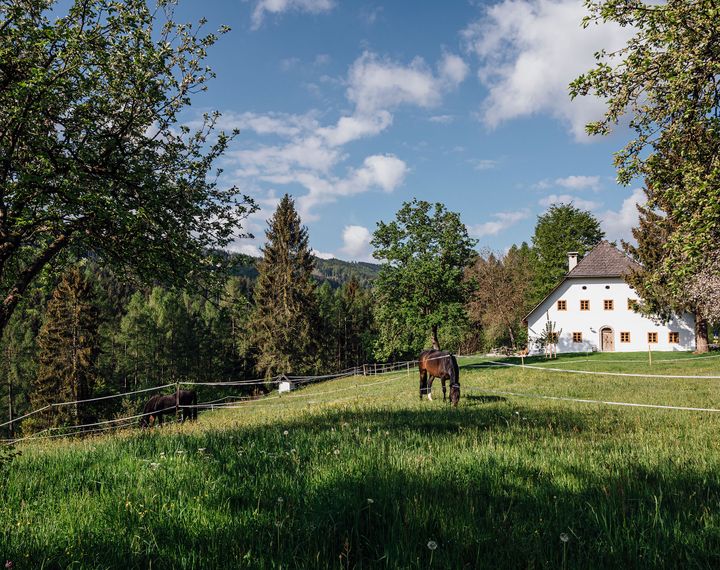 Private Suite Bauernhaus Dörfl in der Strass