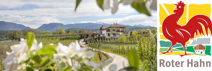 Morgens Stall – mittags Dreitausender