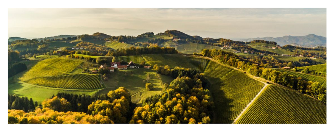 Traumhafter Ausblick aus neuen Landhauszimmern