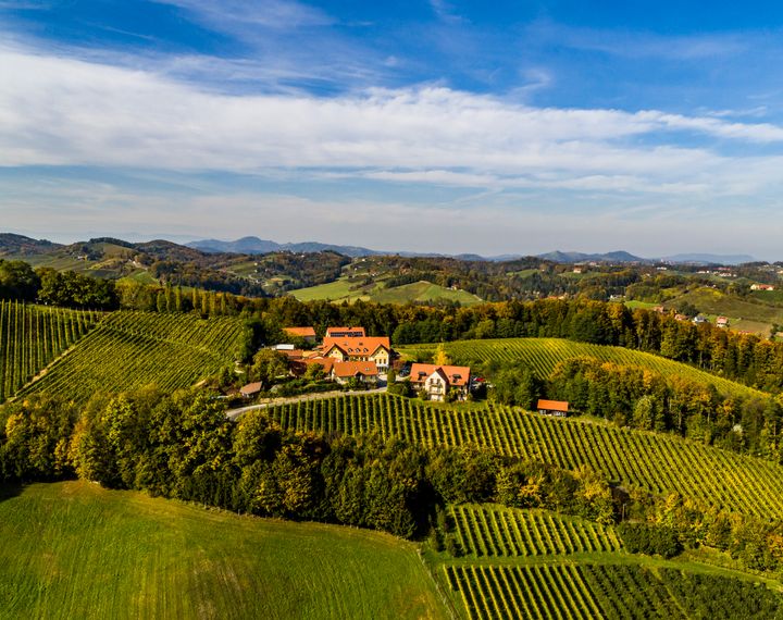 Genießerhotel und Weingut Sattlerhof Genießerhotel und Weingut Sattlerhof