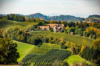 Genießerhotel und Weingut Sattlerhof