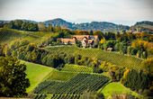 Gourmet-BBQ und herrlich wohnen am Top-Weingut