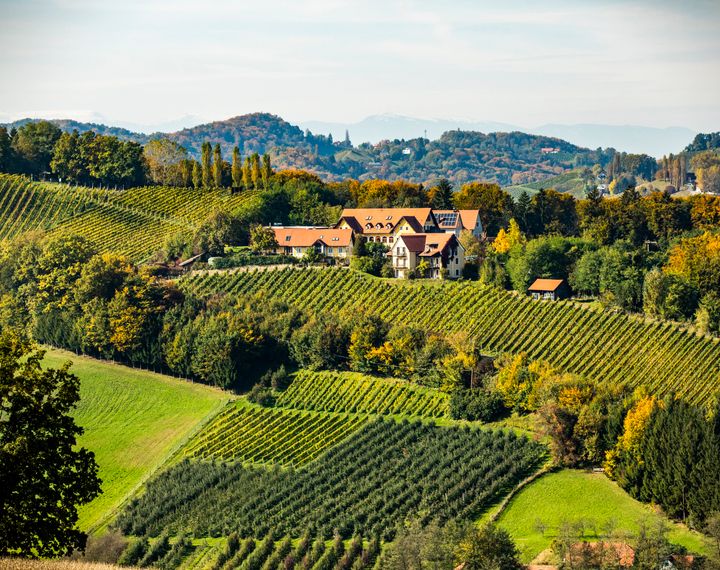 Genießerhotel und Weingut Sattlerhof