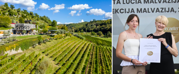 Abermals Gold in Istrien – Kozlovićs Santa Lucia begeistert die Weinszene