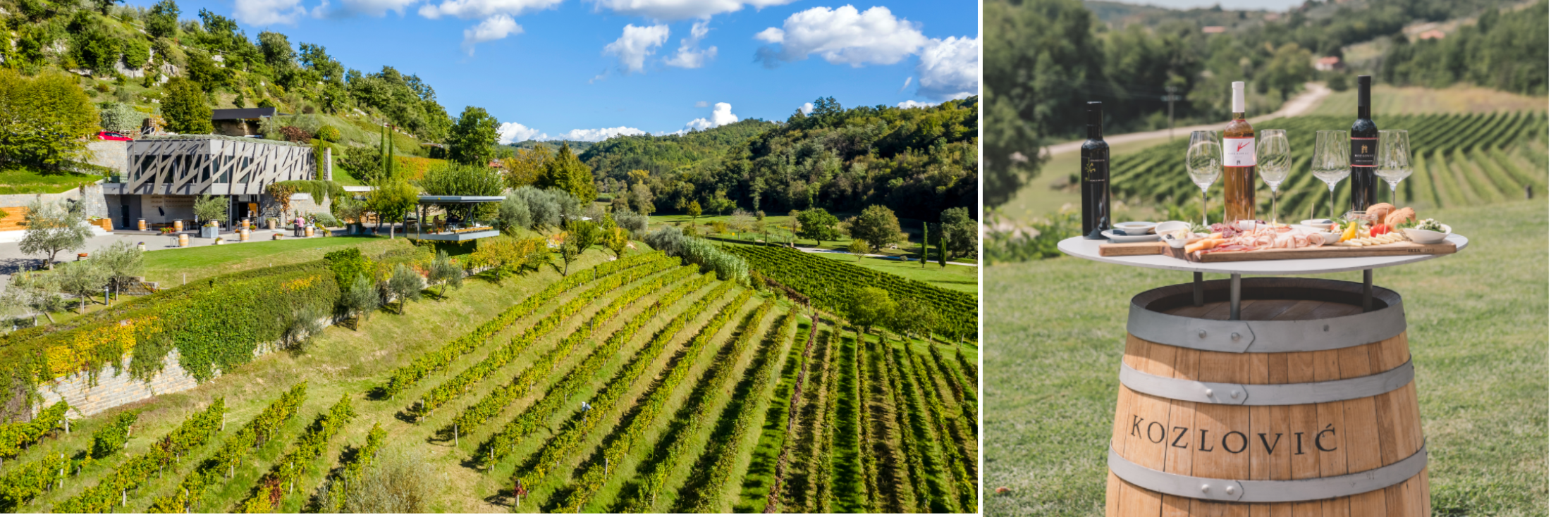 „Experience 2024“ – die neuen Erlebnis-Tastings in Istriens Kultweingut Kozlović