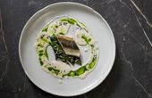 „Best Young Chef Award“ und zwei Sterne über der Kvarner Bucht
