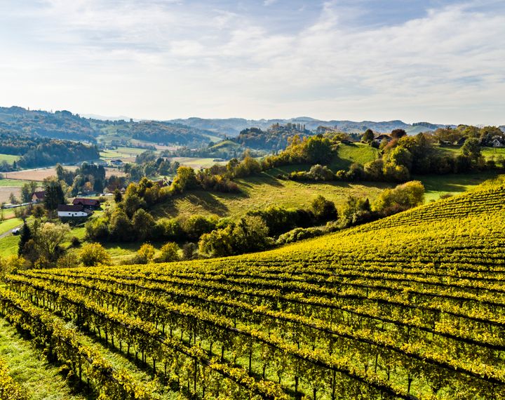 Genießerhotel und Weingut Sattlerhof