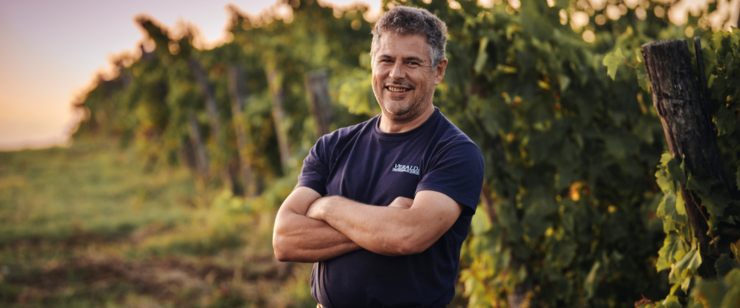 Bujština als erstes herkunftsgeschütztes  Weinbaugebiet in Istrien