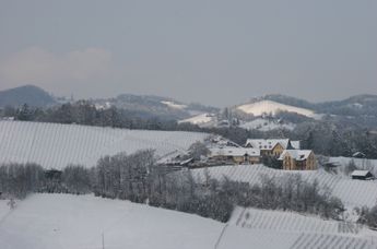 Genießerhotel und Weingut Sattlerhof