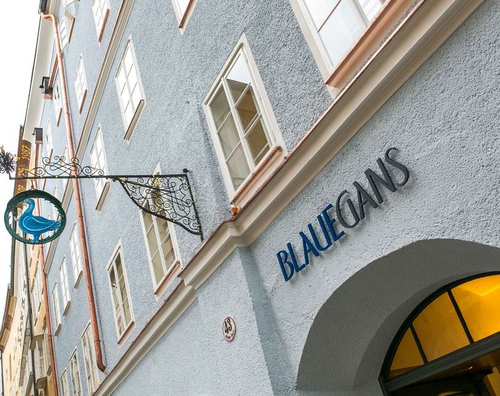 Arthotel Blaue Gans