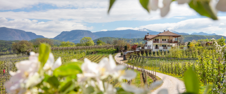 Morgens Stall – mittags Dreitausender