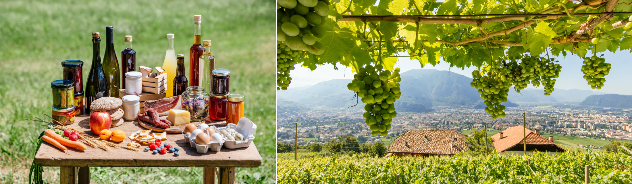 Morgens Stall – mittags Dreitausender