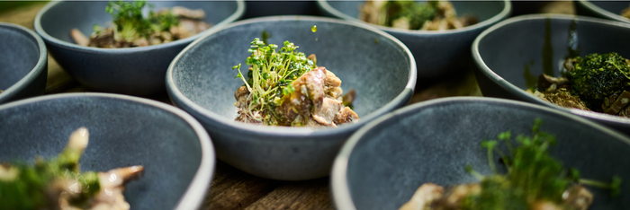 TAVOLATA 2026 – Gourmet unplugged: Wenn der Wald den Tisch deckt