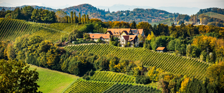 Gourmet-BBQ und herrlich wohnen am Top-Weingut