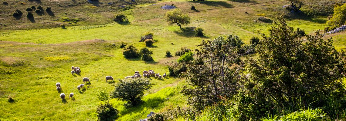  Wanderherbst an der kroatischen Adria