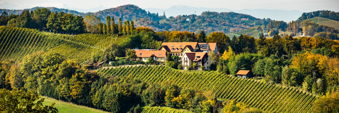 Gourmet-BBQ und herrlich wohnen am Top-Weingut