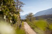 Waalwege for Hiking Friends