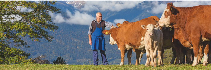 Echtes Bauernhofleben zum Anfassen