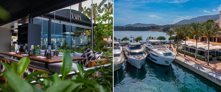 Edel-Lokal im schicken Hafen 